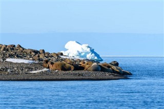 Svalbard időjárás-jelentés