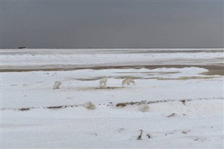Svalbard hava tahmini