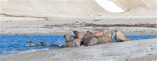 Svalbard időjárás-jelentés