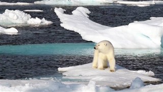 Svalbard hava tahmini