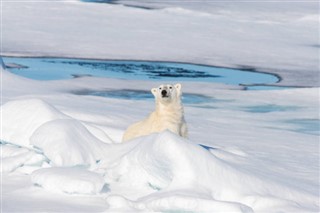 Svalbard Időjárás-jelentés