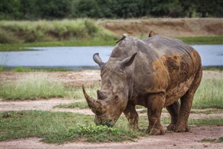Swaziland vejrudsigt