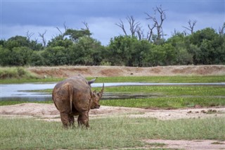 Swaziland vejrudsigt