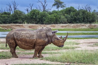 Swaziland vejrudsigt