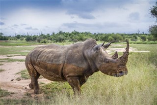 Swaziland vejrudsigt