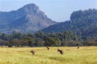 Svaziland hava tahmini