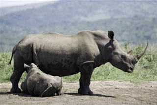 Swaziland vejrudsigt