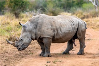 Swaziland vejrudsigt