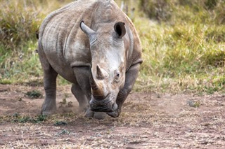 Swaziland vejrudsigt