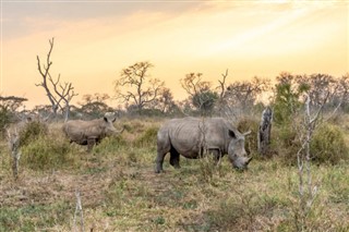 Swaziland prévisions météorologiques