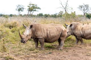 Swaziland vejrudsigt