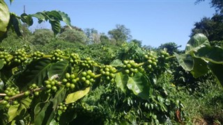 Swaziland vejrudsigt