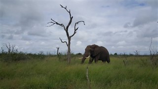 Swaziland vejrudsigt