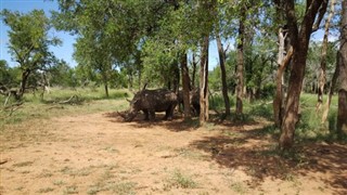Swaziland vejrudsigt