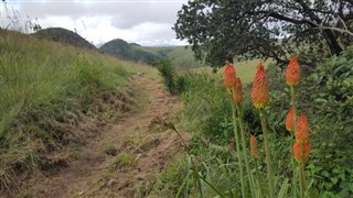 Swaziland vejrudsigt