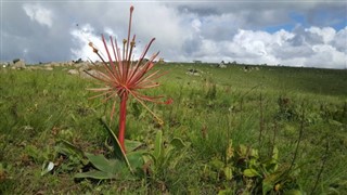 Swaziland vejrudsigt