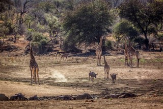 Swazilandia pronóstico del tiempo