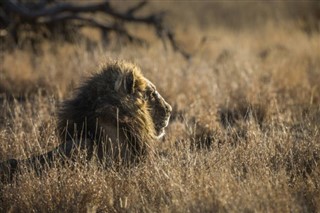 Swaziland vejrudsigt