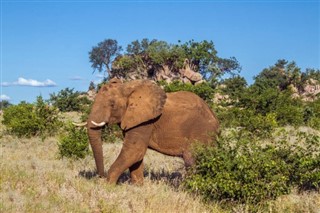 Swaziland vejrudsigt