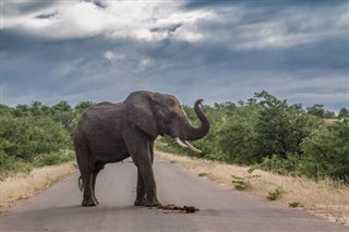 Swaziland vejrudsigt