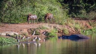 Swaziland vejrudsigt