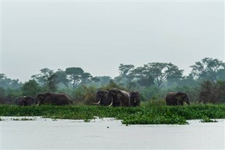 Swaziland vejrudsigt