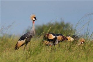 Swaziland weather forecast
