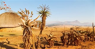 Svaziland hava tahmini