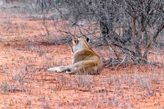 Swaziland vejrudsigt