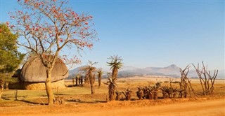 Swaziland vejrudsigt