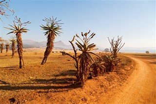 Svaziland Hava tahmini