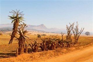 Svaziland hava tahmini