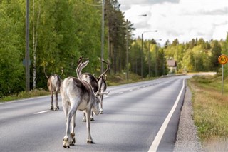 Sverige vejrudsigt