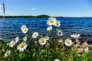 Sverige vejrudsigt