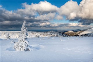 Sverige vejrudsigt