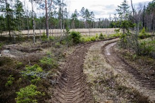 Sverige vejrudsigt