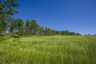 Sverige vejrudsigt