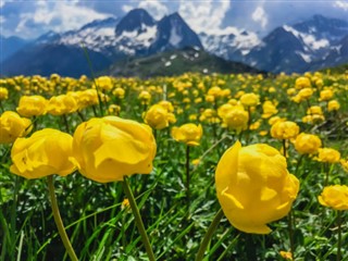 İsviçre hava tahmini