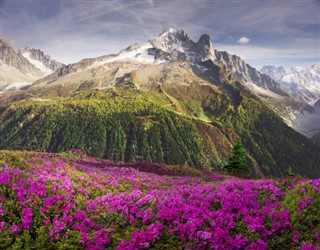 Schweiz vejrudsigt