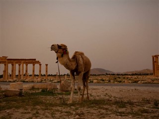 Syrien vejrudsigt