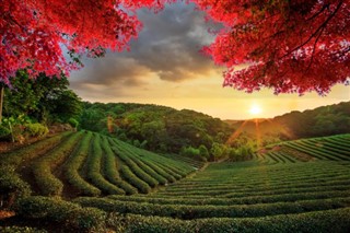 Taiwan vejrudsigt