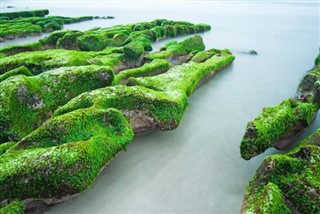 Taiwan vejrudsigt