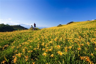 Taiwan időjárás-jelentés