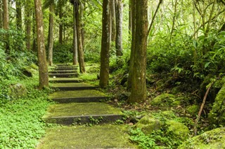 Taiwan vejrudsigt
