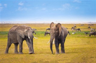 Tanzania vejrudsigt