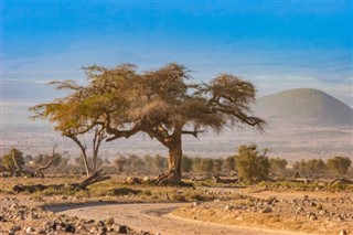 تنزانيا توقعات الطقس