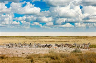 Tanzania vejrudsigt