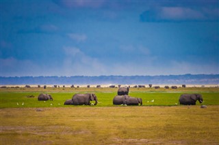 Tanzania vejrudsigt