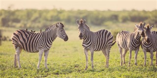 Tanzania vejrudsigt