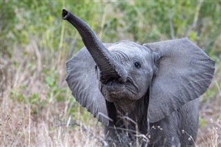 Tanzania vejrudsigt
